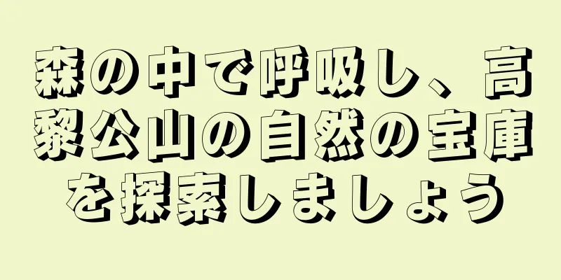 森の中で呼吸し、高黎公山の自然の宝庫を探索しましょう
