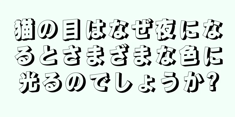 猫の目はなぜ夜になるとさまざまな色に光るのでしょうか?
