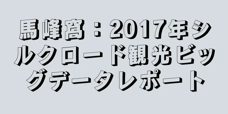馬峰窩：2017年シルクロード観光ビッグデータレポート