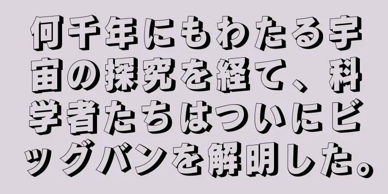 何千年にもわたる宇宙の探究を経て、科学者たちはついにビッグバンを解明した。