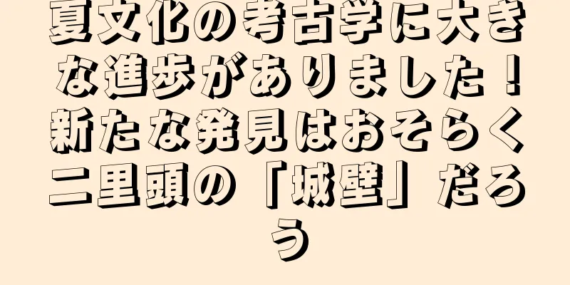 夏文化の考古学に大きな進歩がありました！新たな発見はおそらく二里頭の「城壁」だろう