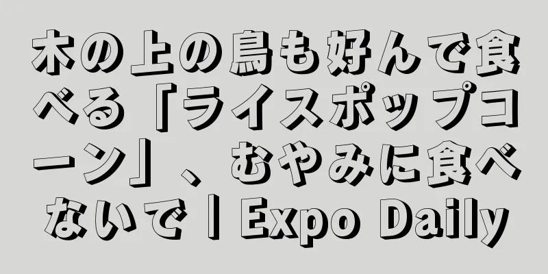 木の上の鳥も好んで食べる「ライスポップコーン」、むやみに食べないで｜Expo Daily