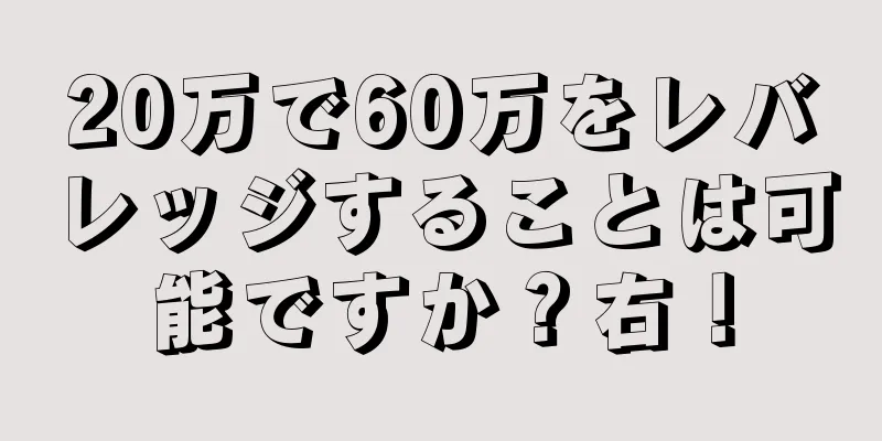20万で60万をレバレッジすることは可能ですか？右！