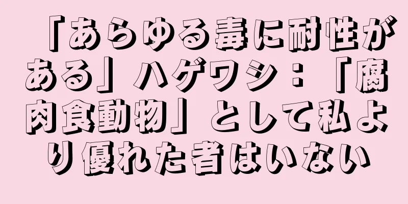 「あらゆる毒に耐性がある」ハゲワシ：「腐肉食動物」として私より優れた者はいない