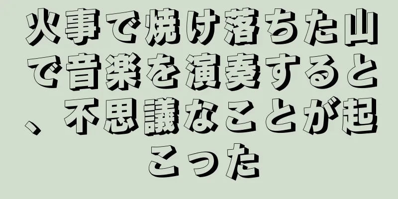 火事で焼け落ちた山で音楽を演奏すると、不思議なことが起こった