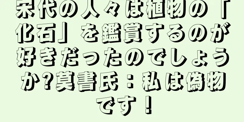 宋代の人々は植物の「化石」を鑑賞するのが好きだったのでしょうか?莫書氏：私は偽物です！