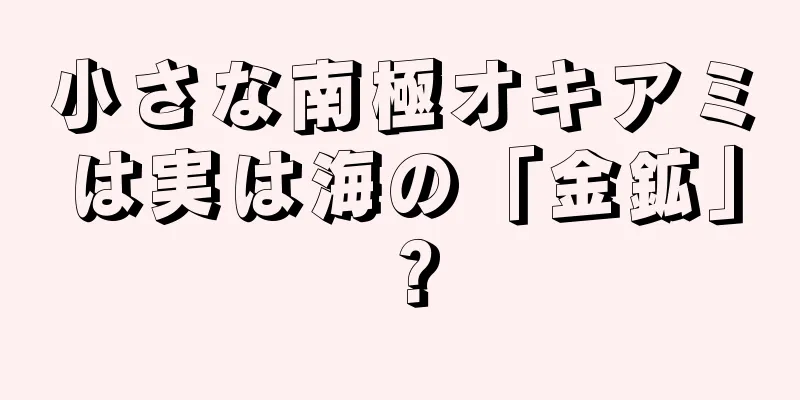 小さな南極オキアミは実は海の「金鉱」？