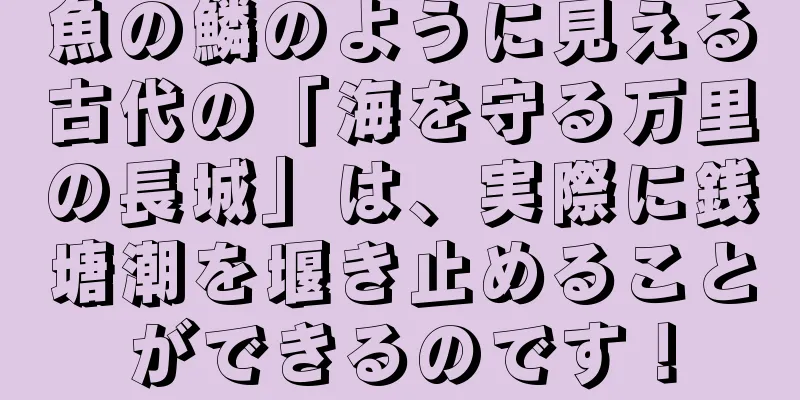 魚の鱗のように見える古代の「海を守る万里の長城」は、実際に銭塘潮を堰き止めることができるのです！