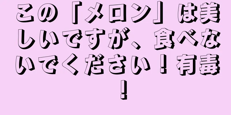 この「メロン」は美しいですが、食べないでください！有毒！