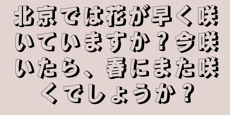 北京では花が早く咲いていますか？今咲いたら、春にまた咲くでしょうか？
