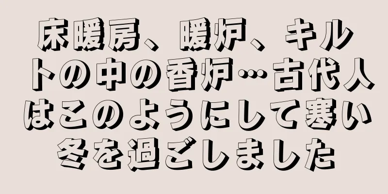床暖房、暖炉、キルトの中の香炉…古代人はこのようにして寒い冬を過ごしました