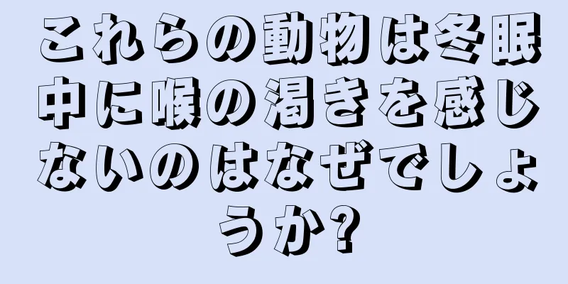 これらの動物は冬眠中に喉の渇きを感じないのはなぜでしょうか?