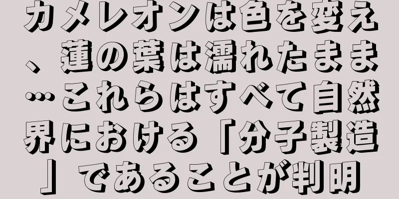 カメレオンは色を変え、蓮の葉は濡れたまま…これらはすべて自然界における「分子製造」であることが判明