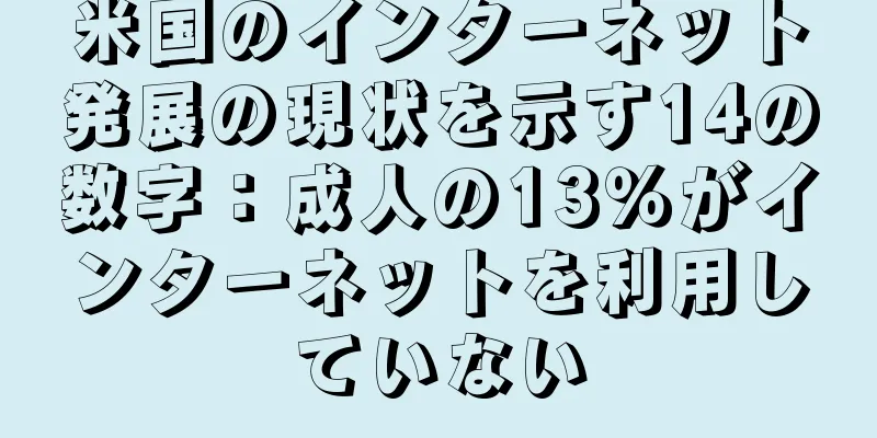 米国のインターネット発展の現状を示す14の数字：成人の13％がインターネットを利用していない