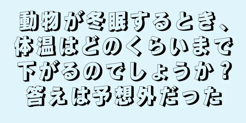 動物が冬眠するとき、体温はどのくらいまで下がるのでしょうか？答えは予想外だった
