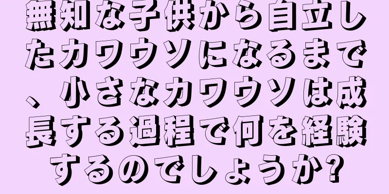 無知な子供から自立したカワウソになるまで、小さなカワウソは成長する過程で何を経験するのでしょうか?