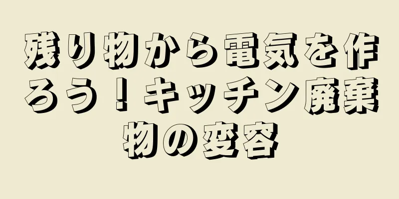 残り物から電気を作ろう！キッチン廃棄物の変容