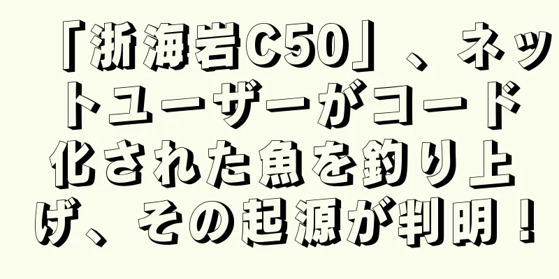 「浙海岩C50」、ネットユーザーがコード化された魚を釣り上げ、その起源が判明！