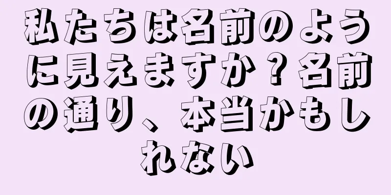 私たちは名前のように見えますか？名前の通り、本当かもしれない
