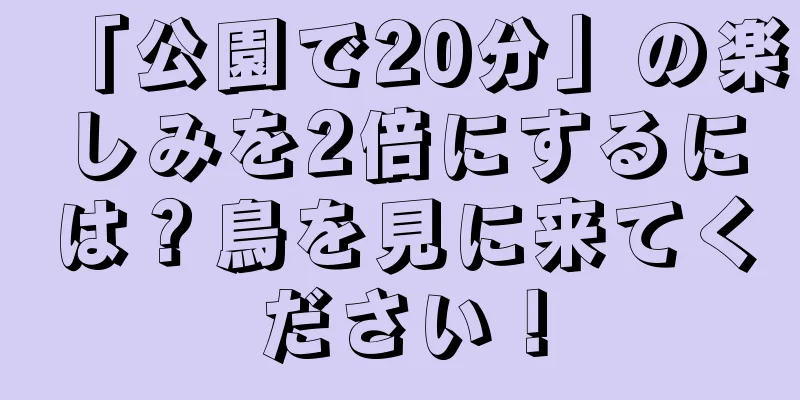 「公園で20分」の楽しみを2倍にするには？鳥を見に来てください！