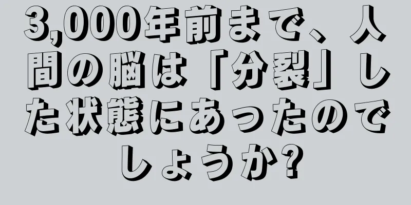 3,000年前まで、人間の脳は「分裂」した状態にあったのでしょうか?