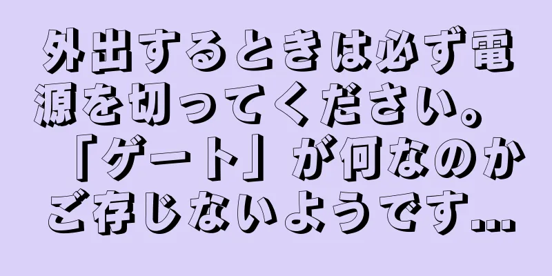 外出するときは必ず電源を切ってください。 「ゲート」が何なのかご存じないようです...
