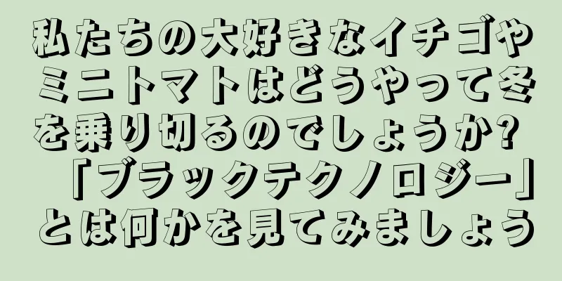 私たちの大好きなイチゴやミニトマトはどうやって冬を乗り切るのでしょうか? 「ブラックテクノロジー」とは何かを見てみましょう