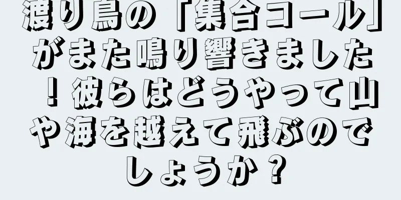 渡り鳥の「集合コール」がまた鳴り響きました！彼らはどうやって山や海を越えて飛ぶのでしょうか？