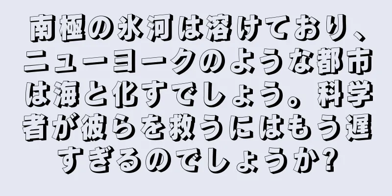 南極の氷河は溶けており、ニューヨークのような都市は海と化すでしょう。科学者が彼らを救うにはもう遅すぎるのでしょうか?