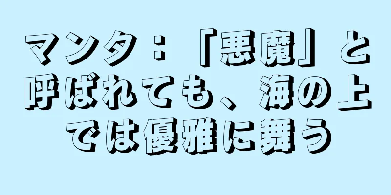 マンタ：「悪魔」と呼ばれても、海の上では優雅に舞う