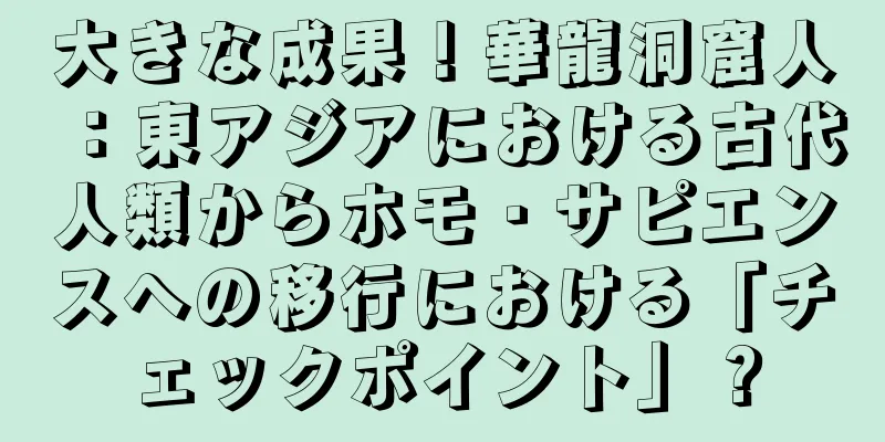 大きな成果！華龍洞窟人：東アジアにおける古代人類からホモ・サピエンスへの移行における「チェックポイント」？