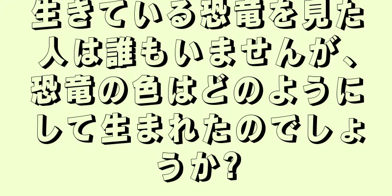 生きている恐竜を見た人は誰もいませんが、恐竜の色はどのようにして生まれたのでしょうか?