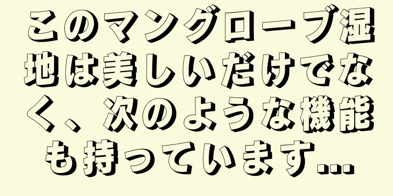 このマングローブ湿地は美しいだけでなく、次のような機能も持っています...