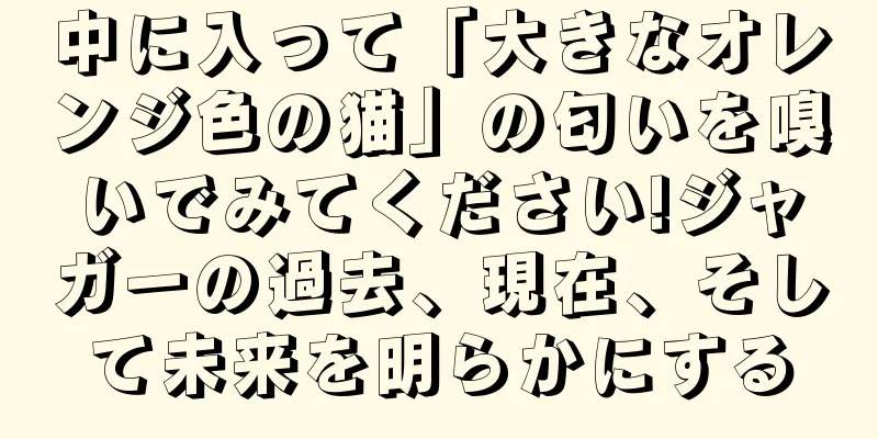 中に入って「大きなオレンジ色の猫」の匂いを嗅いでみてください!ジャガーの過去、現在、そして未来を明らかにする