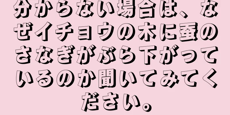 分からない場合は、なぜイチョウの木に蚕のさなぎがぶら下がっているのか聞いてみてください。