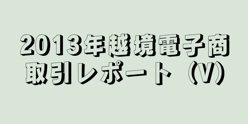 2013年越境電子商取引レポート（V）