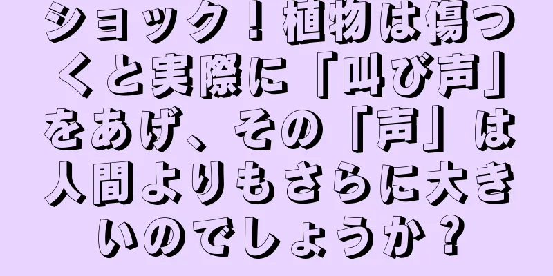 ショック！植物は傷つくと実際に「叫び声」をあげ、その「声」は人間よりもさらに大きいのでしょうか？