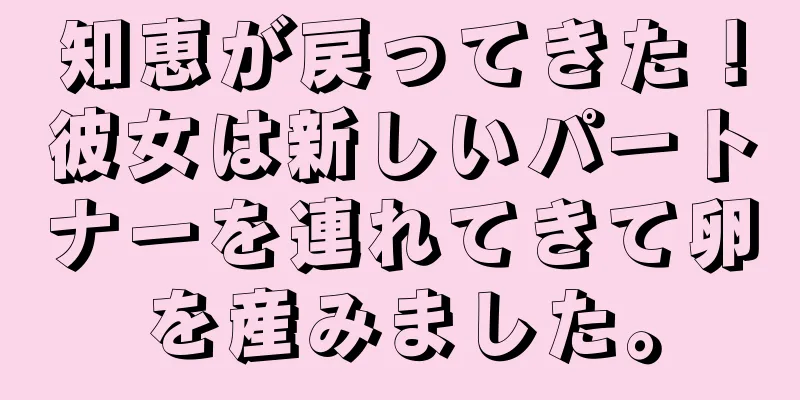 知恵が戻ってきた！彼女は新しいパートナーを連れてきて卵を産みました。