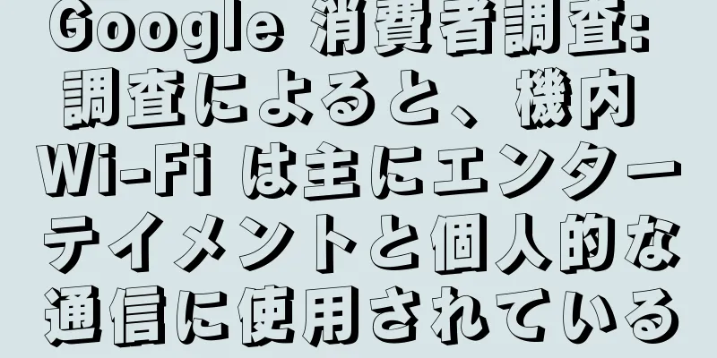Google 消費者調査: 調査によると、機内 Wi-Fi は主にエンターテイメントと個人的な通信に使用されている
