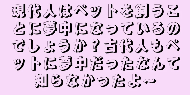 現代人はペットを飼うことに夢中になっているのでしょうか？古代人もペットに夢中だったなんて知らなかったよ〜