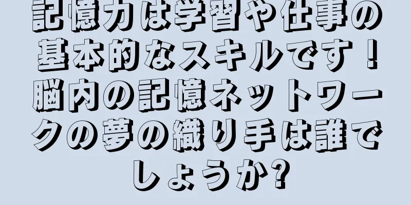 記憶力は学習や仕事の基本的なスキルです！脳内の記憶ネットワークの夢の織り手は誰でしょうか?