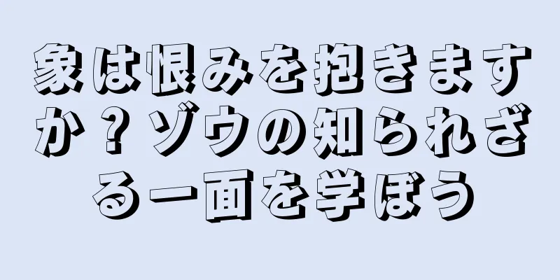 象は恨みを抱きますか？ゾウの知られざる一面を学ぼう