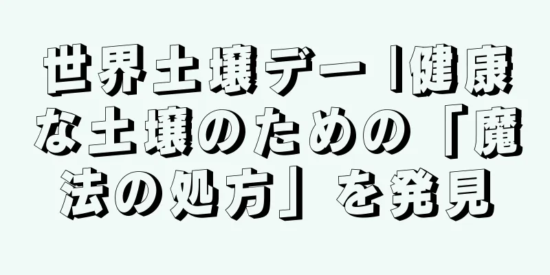 世界土壌デー |健康な土壌のための「魔法の処方」を発見