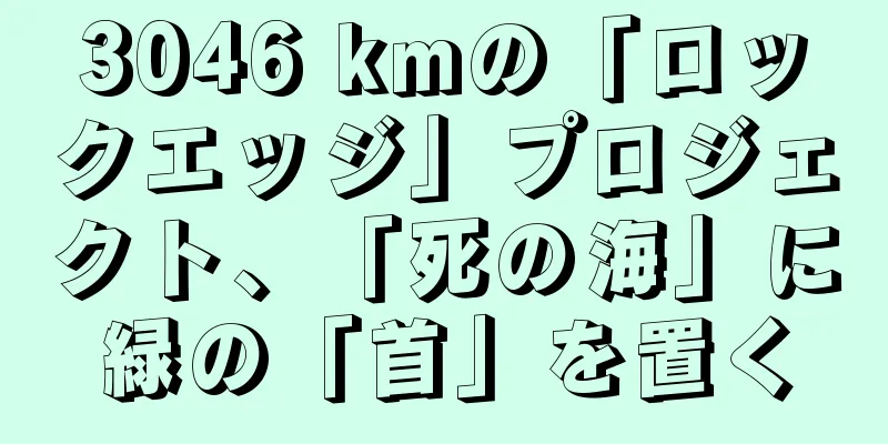 3046 kmの「ロックエッジ」プロジェクト、「死の海」に緑の「首」を置く