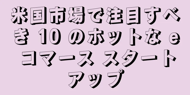 米国市場で注目すべき 10 のホットな e コマース スタートアップ