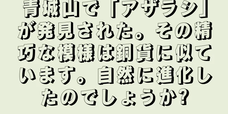 青城山で「アザラシ」が発見された。その精巧な模様は銅貨に似ています。自然に進化したのでしょうか?