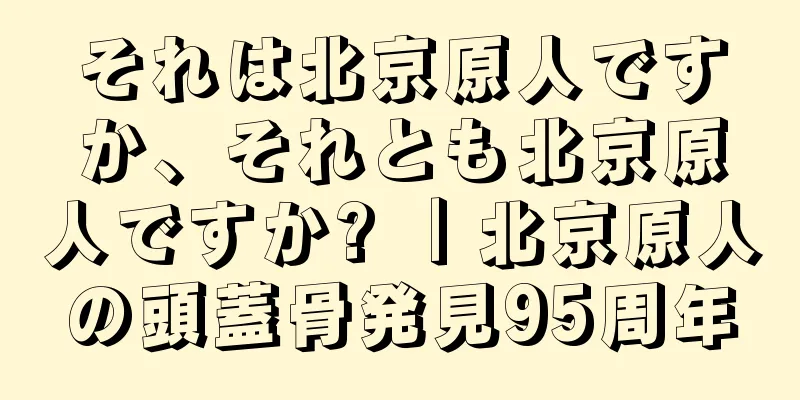 それは北京原人ですか、それとも北京原人ですか? ｜北京原人の頭蓋骨発見95周年