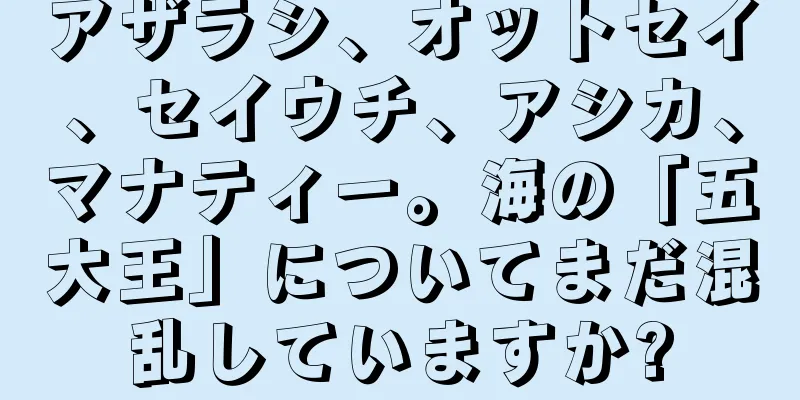 アザラシ、オットセイ、セイウチ、アシカ、マナティー。海の「五大王」についてまだ混乱していますか?