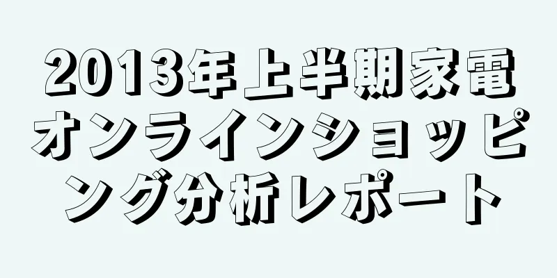 2013年上半期家電オンラインショッピング分析レポート