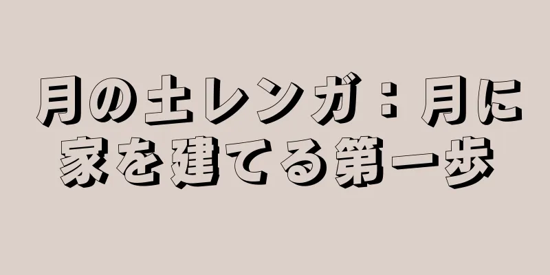 月の土レンガ：月に家を建てる第一歩